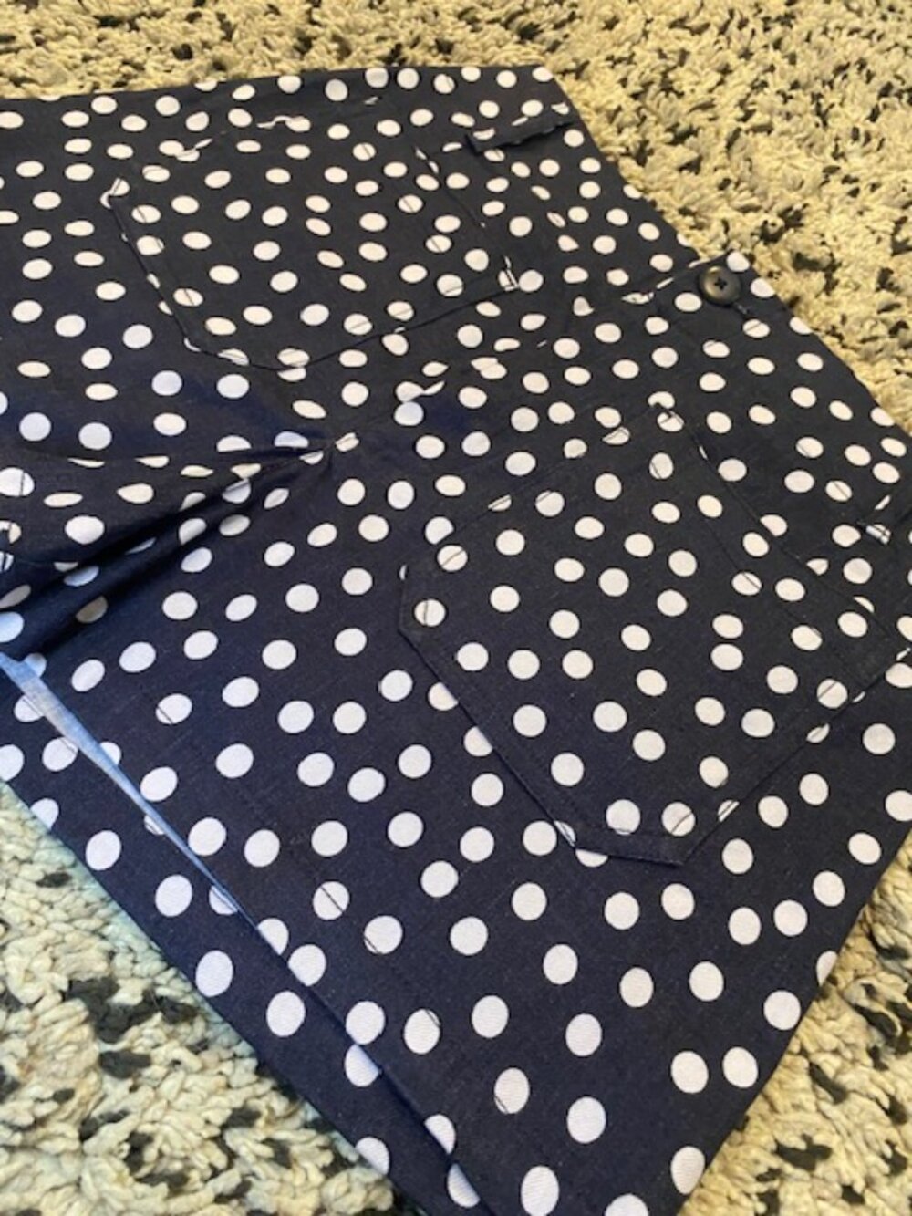 Maeve Anthropologie Colette Shorts Polka Dot Size 29 (Med) Blue & White